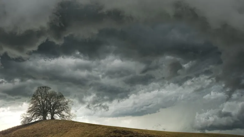 Aches, Pressure, and the Coming Storm: Trusting Your Body Over the Weather App