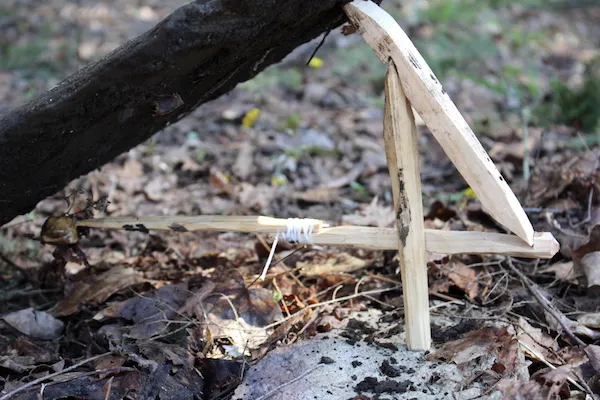 Deadfalls, Snares, and Pit Traps: The Zero-Ammo Hunting Strategy That Kept Our Ancestors Fed
