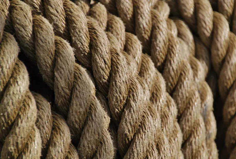 Twist, Pull, Repeat: The Primitive Cordage Skills That Could Save Your Life