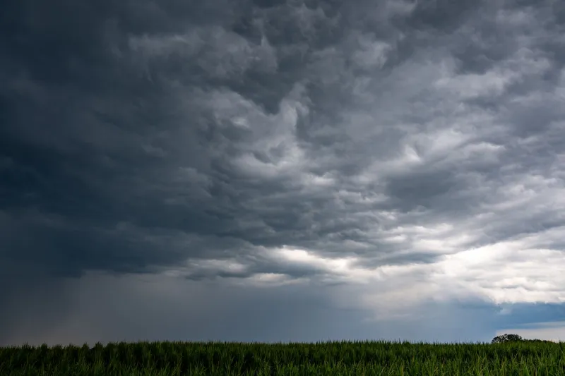 Clouds, Crows, and Creaking Joints: How Settlers Read the Sky Before Doppler Existed