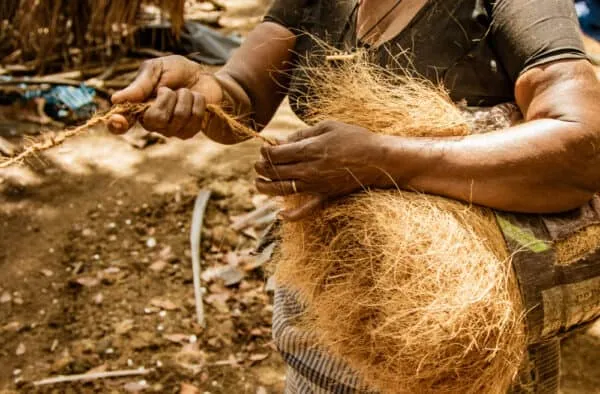 Twist, Braid, Survive: The Ancient Skill of Making Cordage from Scratch