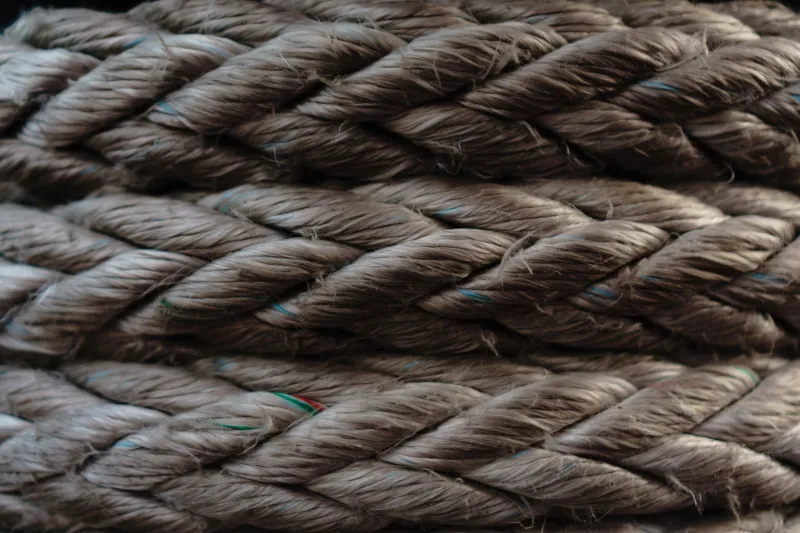 Wild Fibers That Work: Harvesting Nettle, Milkweed, and Dogbane for Cordage That Actually Holds
