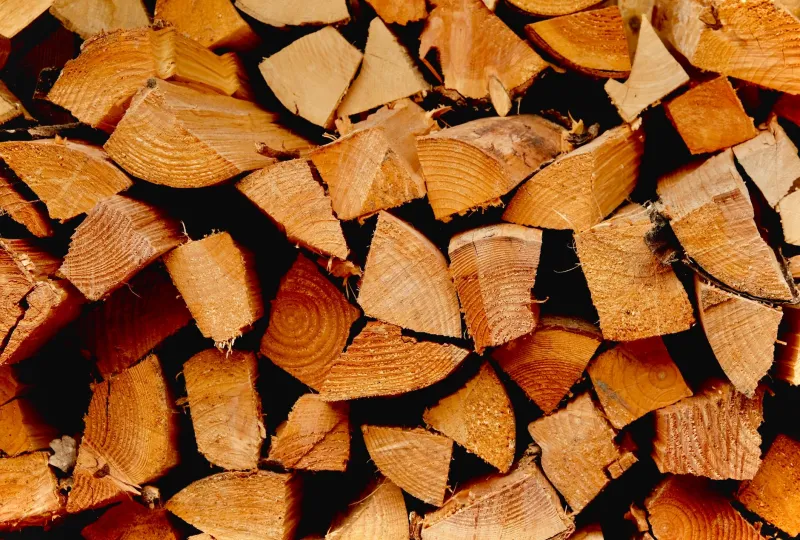 Wood Ash: The Backyard Goldmine Most Preppers Toss in the Trash